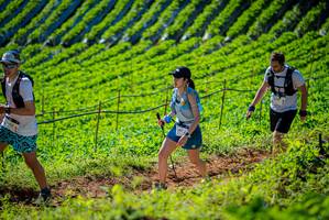 BIB: 
                            <button type="button" onclick="openModal(19161408)" class="btn btn-primary btn-sm float-right btn-popup" data-toggle="modal" data-target=".modal-high-quality">
                        <i class="fas fa-shopping-cart"></i> Add to Cart
                    </button>
                                            <button type="button" onclick="isThisMe(19161408, true)" class="btn btn-success btn-sm float-right btn-popup btn-isme hidden" data-toggle="tooltip" data-placement="bottom" title="นี่คือรูปของคุณใช่ไหม คลิกที่นี่เพื่อเอาเข้าอัลบั้ม">
                        <i class="fas fa-plus"></i> Add to album
                    </button>
                    <button type="button" onclick="isThisMe(19161408, false)" class="btn btn-warning btn-sm float-right btn-popup btn-isnotme hidden">
                        <i class="fas fa-ban"></i> Remove from album
                    </button>